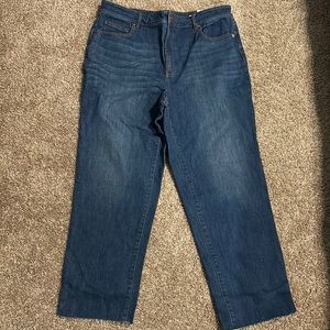 NWT Loft Boyfriend Curvy Jeans
